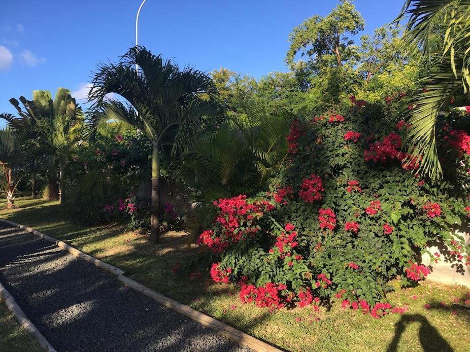 סן-פרנסואה Villa La Belle Creole מראה חיצוני תמונה